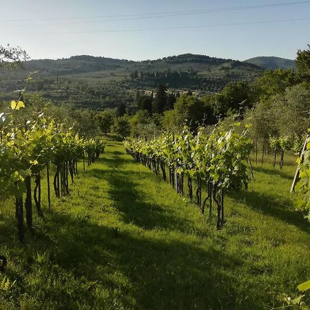 Villa Storica Di Majano Bagno a Ripoli Εξωτερικό φωτογραφία