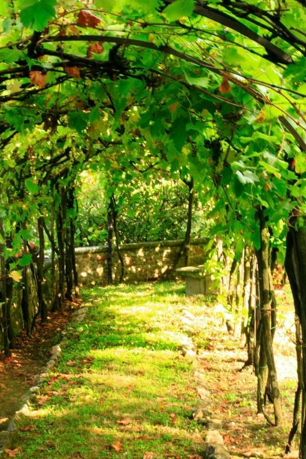 Villa Storica Di Majano Bagno a Ripoli Εξωτερικό φωτογραφία