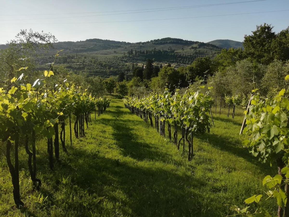 Villa Storica Di Majano Bagno a Ripoli Εξωτερικό φωτογραφία
